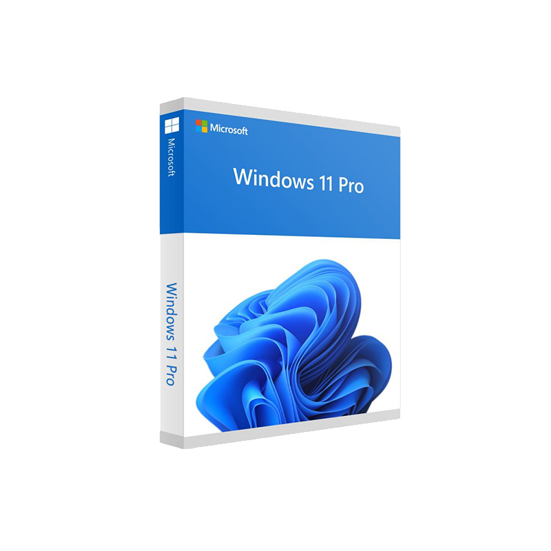 Windows 11 Pro